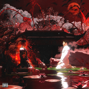 草莓视频污视频
