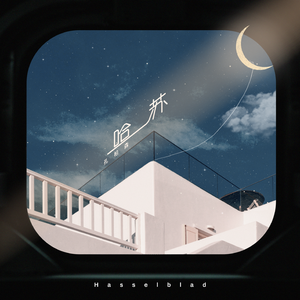 草莓视频污视频
