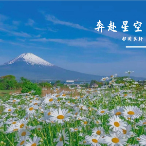 草莓视频污视频
