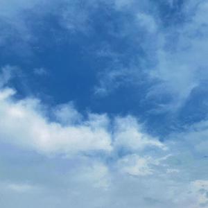 草莓视频污视频
