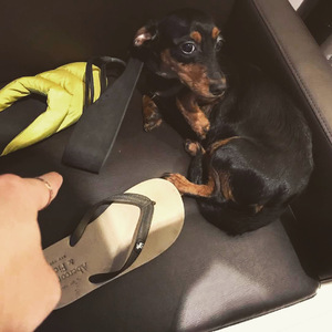 草莓视频污视频
